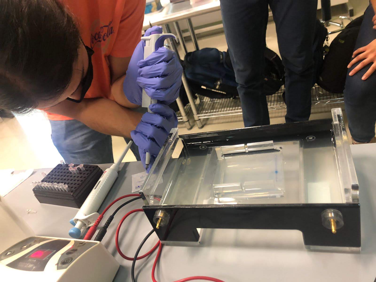 Bioinformatics analysis