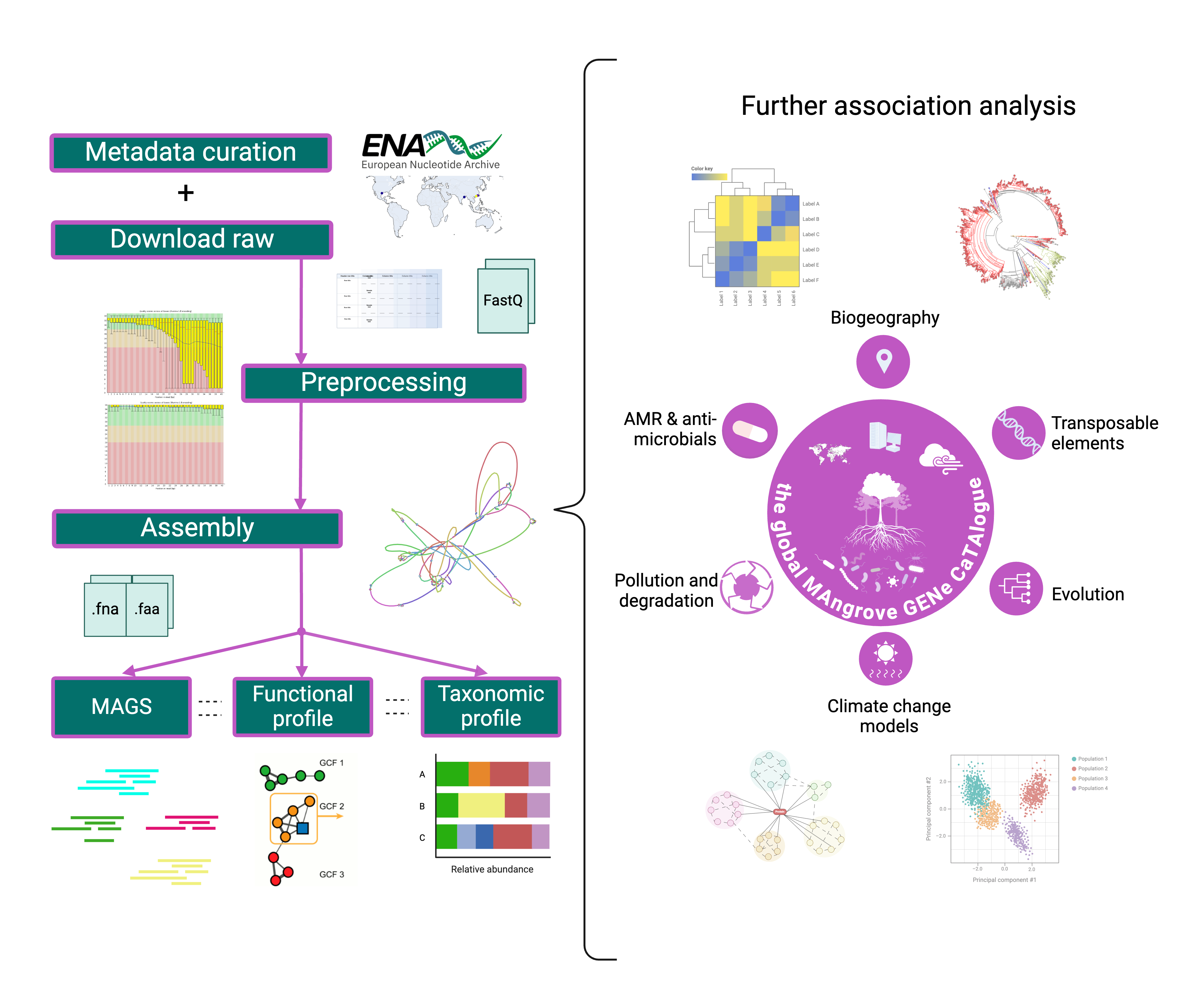 Preprocessing pipeline